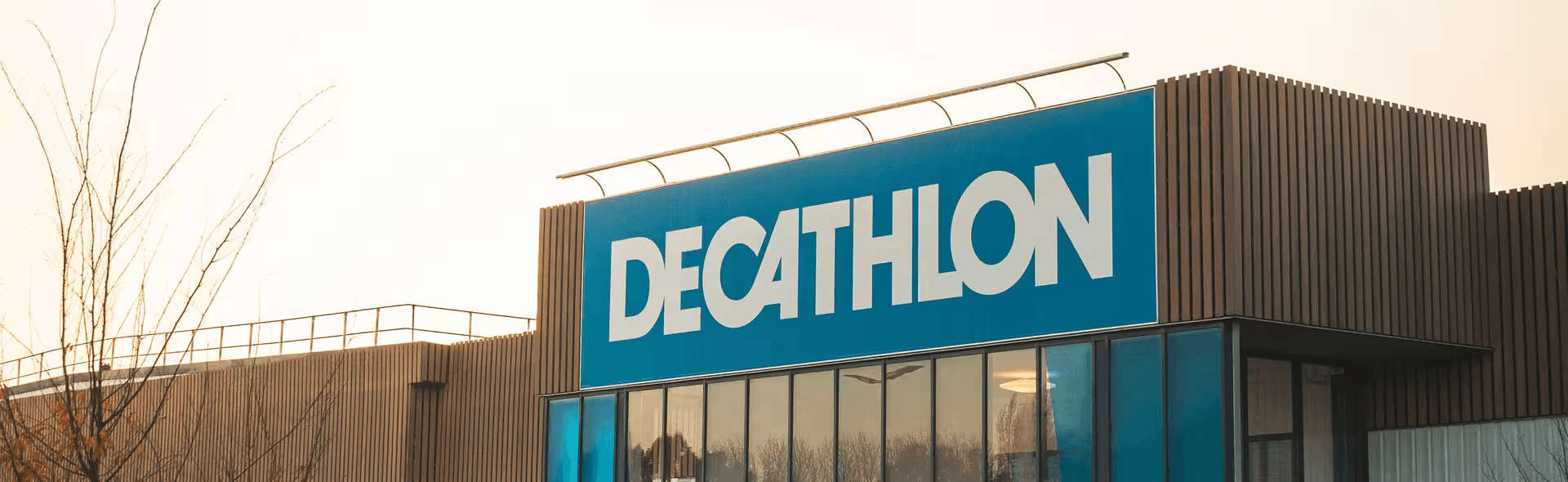 Decathlon - B Cats